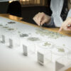 Rough diamond vs. polished diamond: Unveiling the diamond cutting process in a course.