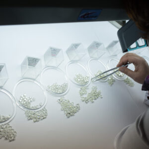 This Investing in Diamonds course is designed for serious investors wanting to get into the diamond business with the goal to multiply their investment. A portion of the course fee (USD $ 22500.00) will go towards your first assignment, where you will be mentored in the purchasing of a diamond parcel, having it contract manufactured, and then marketed through various selected industry B2B trading platforms. Through careful attention and proper planning with the expertise and guidance of your mentor Evan Roberts, a member of the Diamond Dealers Club of South Africa, World Federation of Diamond Bourses Member, your goal should be within reach. Diamond parcels can be viewed at 1 Kramer Road Bedfordview and Antwerp, Viewing, travel expenses and other miscellaneous costs are not included in the investing in Diamonds course fee and will be for the student’s account.